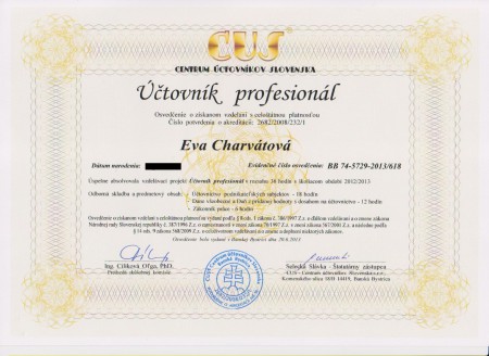 Účtovník profesionál